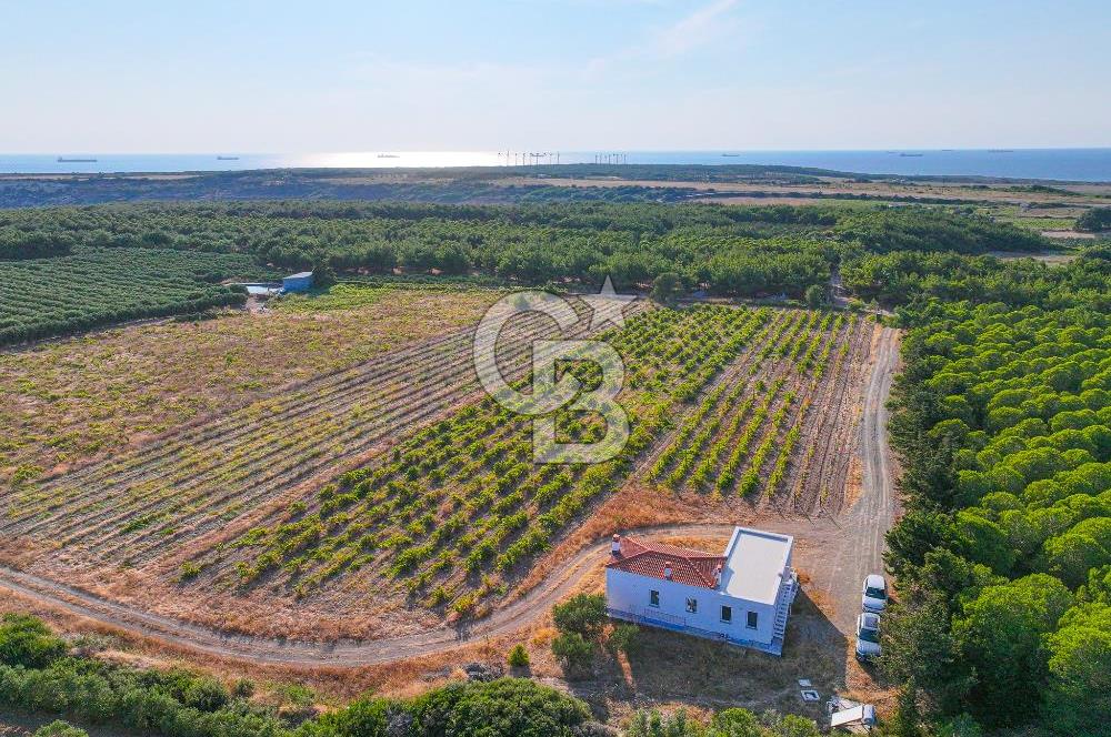 ÇANAKKALE BOZCAADA HABBELE MEVKİİ'NDE SATILIK BAĞ EVİ