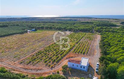 ÇANAKKALE BOZCAADA HABBELE MEVKİİ'NDE SATILIK BAĞ EVİ