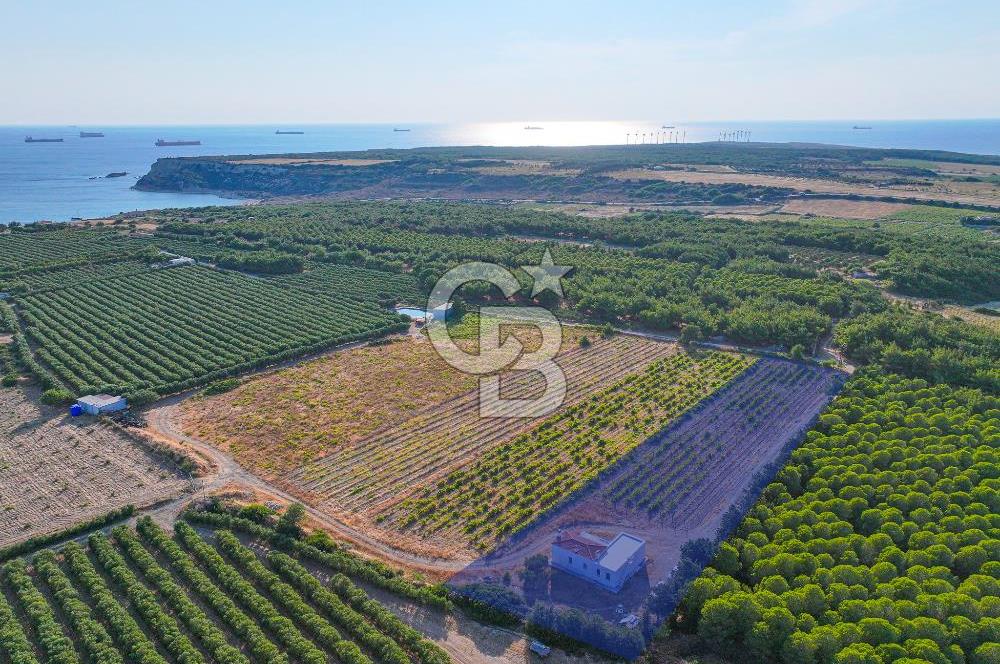 ÇANAKKALE BOZCAADA HABBELE MEVKİİ'NDE SATILIK BAĞ EVİ