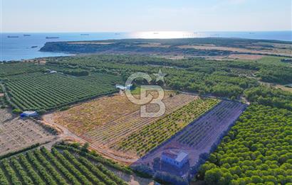 ÇANAKKALE BOZCAADA HABBELE MEVKİİ'NDE SATILIK BAĞ EVİ