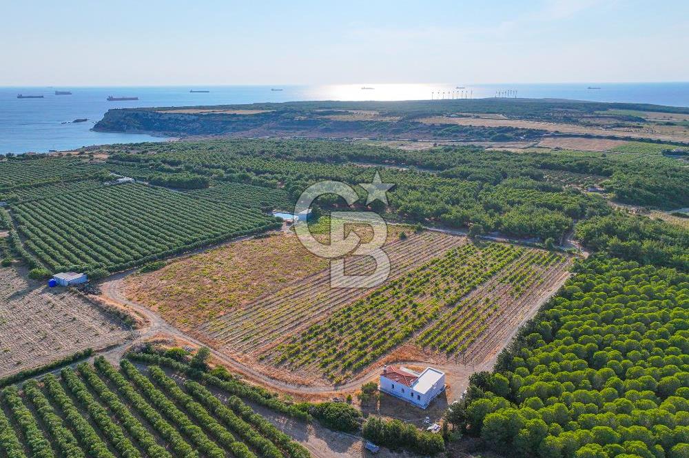 ÇANAKKALE BOZCAADA HABBELE MEVKİİ'NDE SATILIK BAĞ EVİ