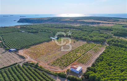 ÇANAKKALE BOZCAADA HABBELE MEVKİİ'NDE SATILIK BAĞ EVİ