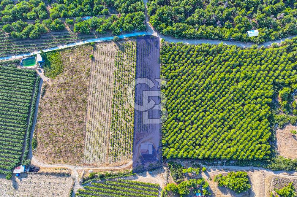 ÇANAKKALE BOZCAADA HABBELE MEVKİİ'NDE SATILIK BAĞ EVİ