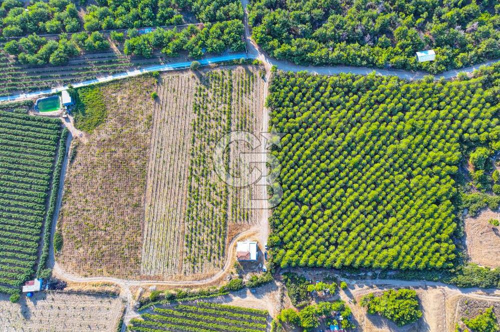 ÇANAKKALE BOZCAADA HABBELE MEVKİİ'NDE SATILIK BAĞ EVİ