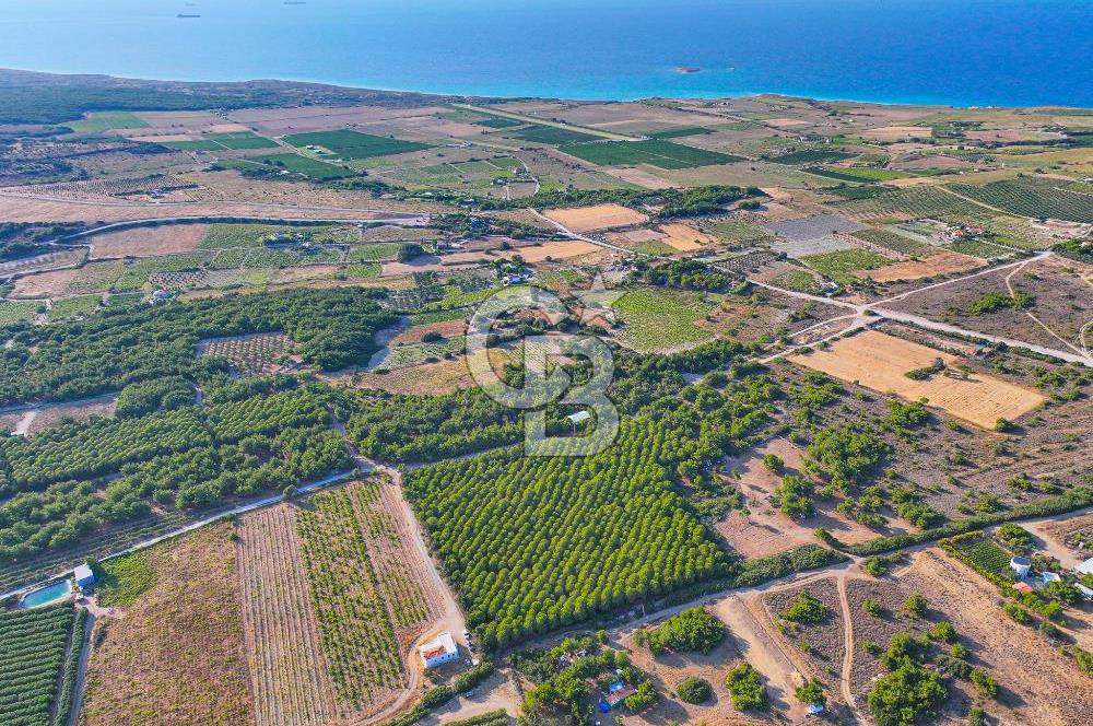 ÇANAKKALE BOZCAADA HABBELE MEVKİİ'NDE SATILIK BAĞ EVİ