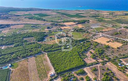 ÇANAKKALE BOZCAADA HABBELE MEVKİİ'NDE SATILIK BAĞ EVİ