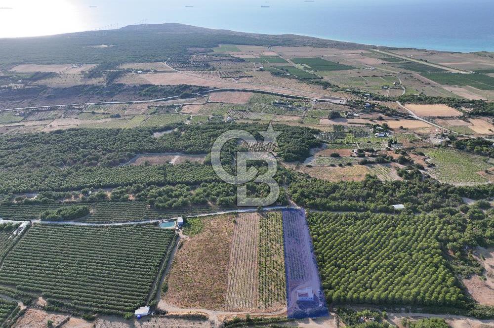 ÇANAKKALE BOZCAADA HABBELE MEVKİİ'NDE SATILIK BAĞ EVİ