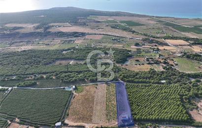 ÇANAKKALE BOZCAADA HABBELE MEVKİİ'NDE SATILIK BAĞ EVİ