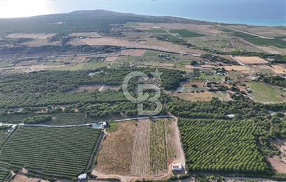 ÇANAKKALE BOZCAADA HABBELE MEVKİİ'NDE SATILIK BAĞ EVİ