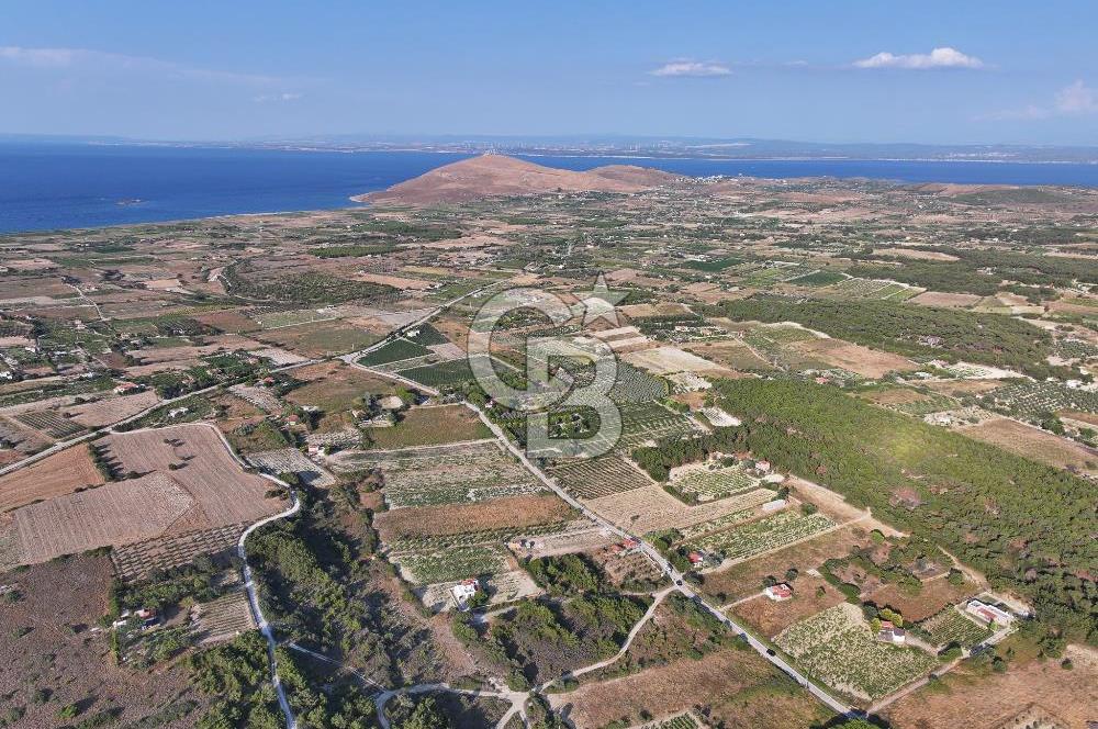 ÇANAKKALE BOZCAADA HABBELE MEVKİİ'NDE SATILIK BAĞ EVİ