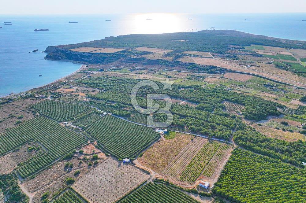 ÇANAKKALE BOZCAADA HABBELE MEVKİİ'NDE SATILIK BAĞ EVİ