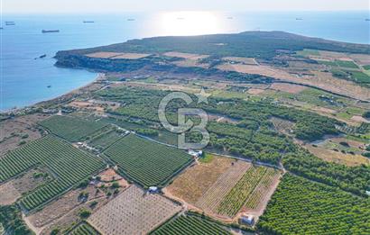 ÇANAKKALE BOZCAADA HABBELE MEVKİİ'NDE SATILIK BAĞ EVİ