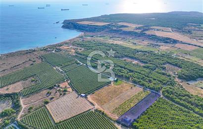 ÇANAKKALE BOZCAADA HABBELE MEVKİİ'NDE SATILIK BAĞ EVİ