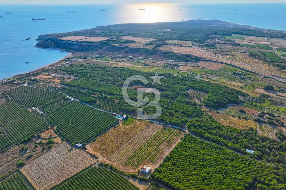 ÇANAKKALE BOZCAADA HABBELE MEVKİİ'NDE SATILIK BAĞ EVİ