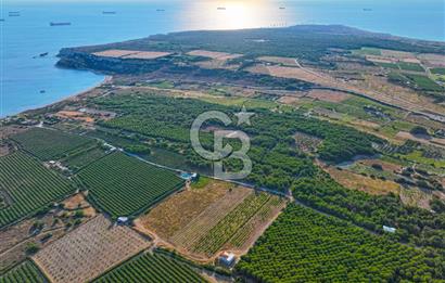 ÇANAKKALE BOZCAADA HABBELE MEVKİİ'NDE SATILIK BAĞ EVİ