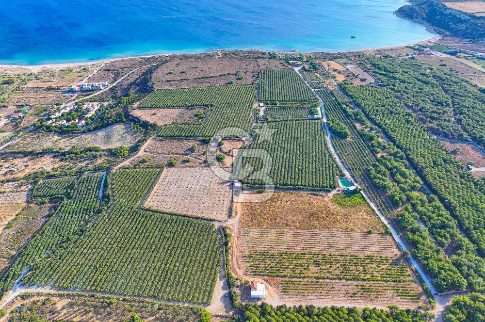 ÇANAKKALE BOZCAADA HABBELE MEVKİİ'NDE SATILIK BAĞ EVİ