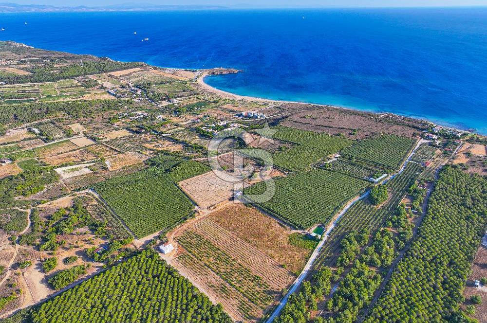 ÇANAKKALE BOZCAADA HABBELE MEVKİİ'NDE SATILIK BAĞ EVİ