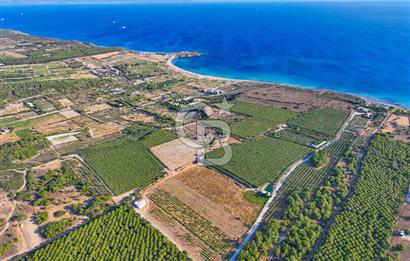 ÇANAKKALE BOZCAADA HABBELE MEVKİİ'NDE SATILIK BAĞ EVİ