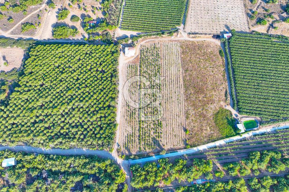 ÇANAKKALE BOZCAADA HABBELE MEVKİİ'NDE SATILIK BAĞ EVİ