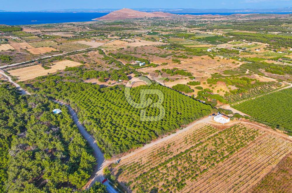 ÇANAKKALE BOZCAADA HABBELE MEVKİİ'NDE SATILIK BAĞ EVİ