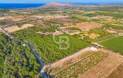 ÇANAKKALE BOZCAADA HABBELE MEVKİİ'NDE SATILIK BAĞ EVİ