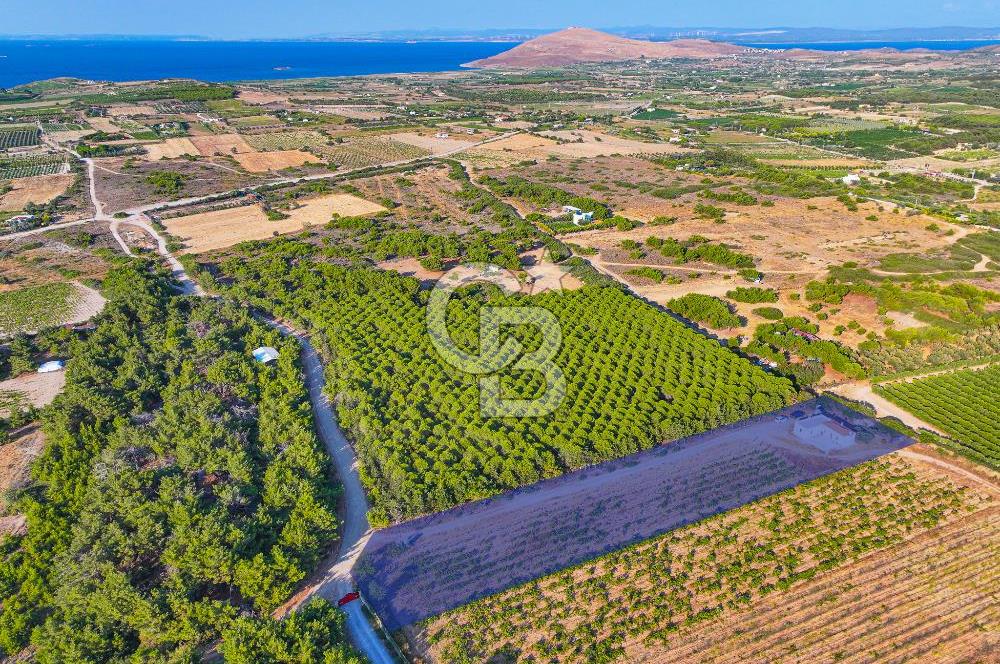 ÇANAKKALE BOZCAADA HABBELE MEVKİİ'NDE SATILIK BAĞ EVİ