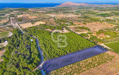 ÇANAKKALE BOZCAADA HABBELE MEVKİİ'NDE SATILIK BAĞ EVİ