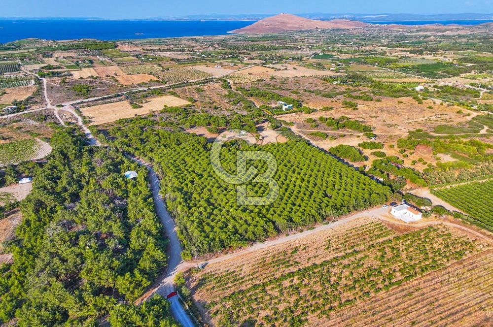 ÇANAKKALE BOZCAADA HABBELE MEVKİİ'NDE SATILIK BAĞ EVİ