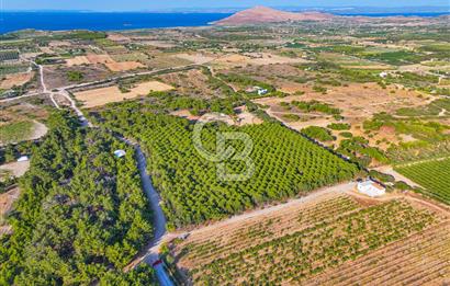 ÇANAKKALE BOZCAADA HABBELE MEVKİİ'NDE SATILIK BAĞ EVİ