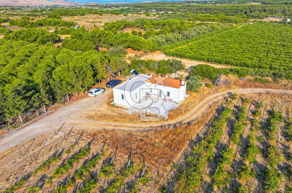 ÇANAKKALE BOZCAADA HABBELE MEVKİİ'NDE SATILIK BAĞ EVİ