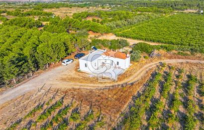 ÇANAKKALE BOZCAADA HABBELE MEVKİİ'NDE SATILIK BAĞ EVİ