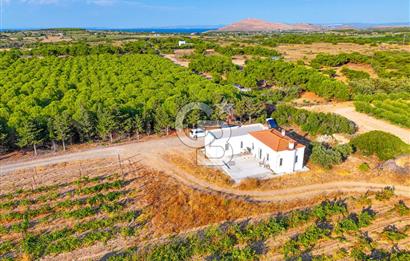 ÇANAKKALE BOZCAADA HABBELE MEVKİİ'NDE SATILIK BAĞ EVİ