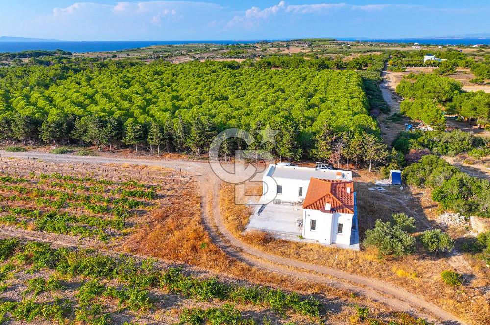 ÇANAKKALE BOZCAADA HABBELE MEVKİİ'NDE SATILIK BAĞ EVİ