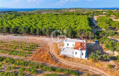 ÇANAKKALE BOZCAADA HABBELE MEVKİİ'NDE SATILIK BAĞ EVİ