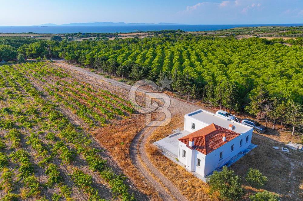 ÇANAKKALE BOZCAADA HABBELE MEVKİİ'NDE SATILIK BAĞ EVİ