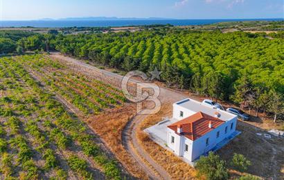 ÇANAKKALE BOZCAADA HABBELE MEVKİİ'NDE SATILIK BAĞ EVİ