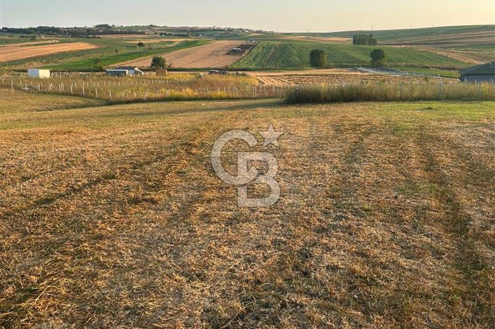 Silivri Kadıköy'de 2952 m2 müstakil tek tapulu yatırımlık tarla