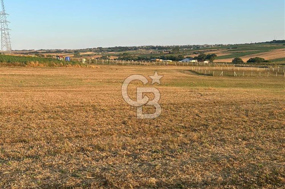 Silivri Kadıköy'de 2952 m2 müstakil tek tapulu yatırımlık tarla