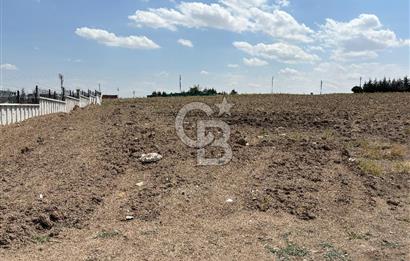 CB VİZYON'dan 0.20 Emsal 1525m2 Satılık Arsa