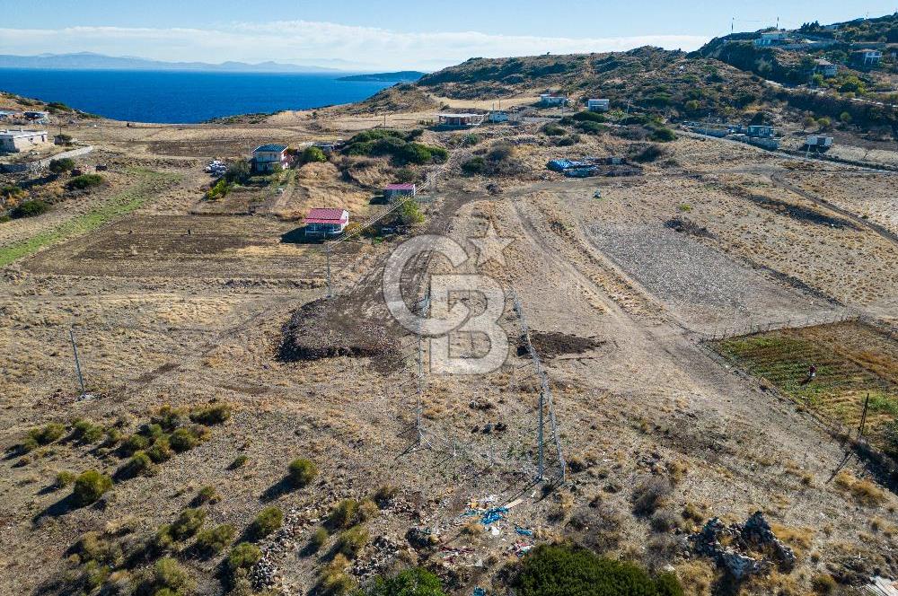 KARABURUN BOZKÖY'DE FULL DENİZ MANZARALI SATILIK TARLA