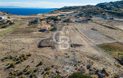 KARABURUN BOZKÖY'DE FULL DENİZ MANZARALI SATILIK TARLA