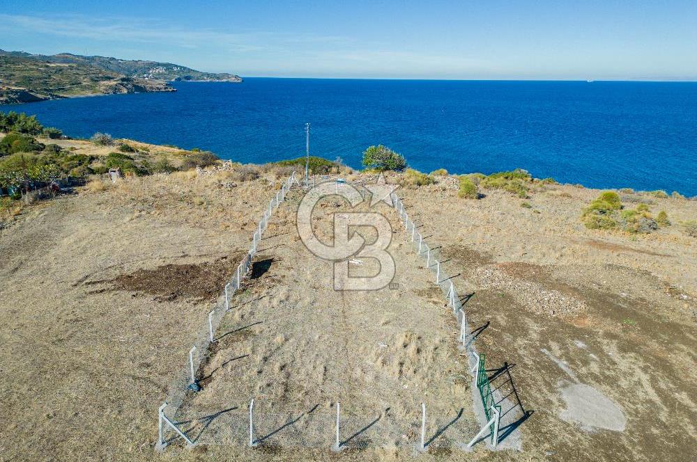 KARABURUN BOZKÖY'DE FULL DENİZ MANZARALI SATILIK TARLA