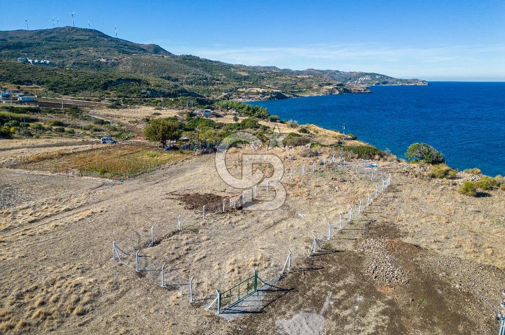 KARABURUN BOZKÖY'DE FULL DENİZ MANZARALI SATILIK TARLA