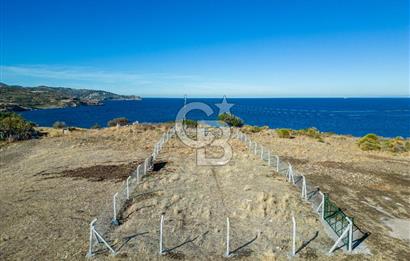 KARABURUN BOZKÖY'DE FULL DENİZ MANZARALI SATILIK TARLA