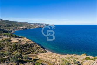 KARABURUN BOZKÖY'DE FULL DENİZ MANZARALI SATILIK TARLA