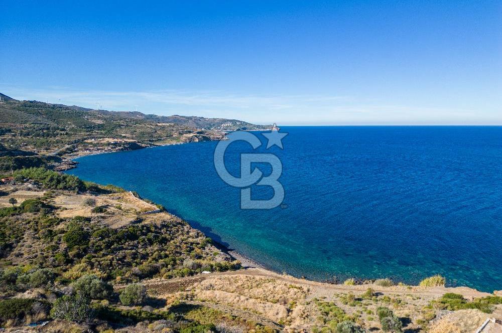 KARABURUN BOZKÖY'DE FULL DENİZ MANZARALI SATILIK TARLA