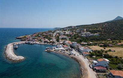 KARABURUN BOZKÖY'DE FULL DENİZ MANZARALI SATILIK TARLA