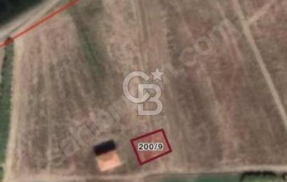 ÇANAKKALE LAPSEKİ ÇARDAK'TA 300 M2 ARSA