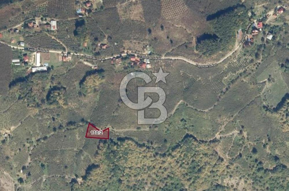 SAKARYA AKYAZIDA 1.593 M² SATILIK ARSA FINDIKLIK