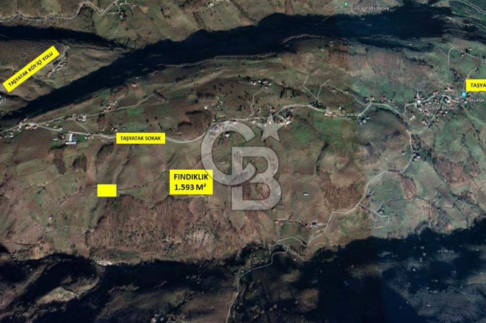 SAKARYA AKYAZIDA 1.593 M² SATILIK ARSA FINDIKLIK
